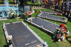 Day 15 - Memphis Graceland 47 plots scaled