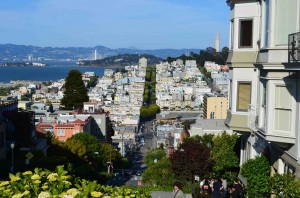 Day 6 - San Francisco Lombard Street 3 scaled